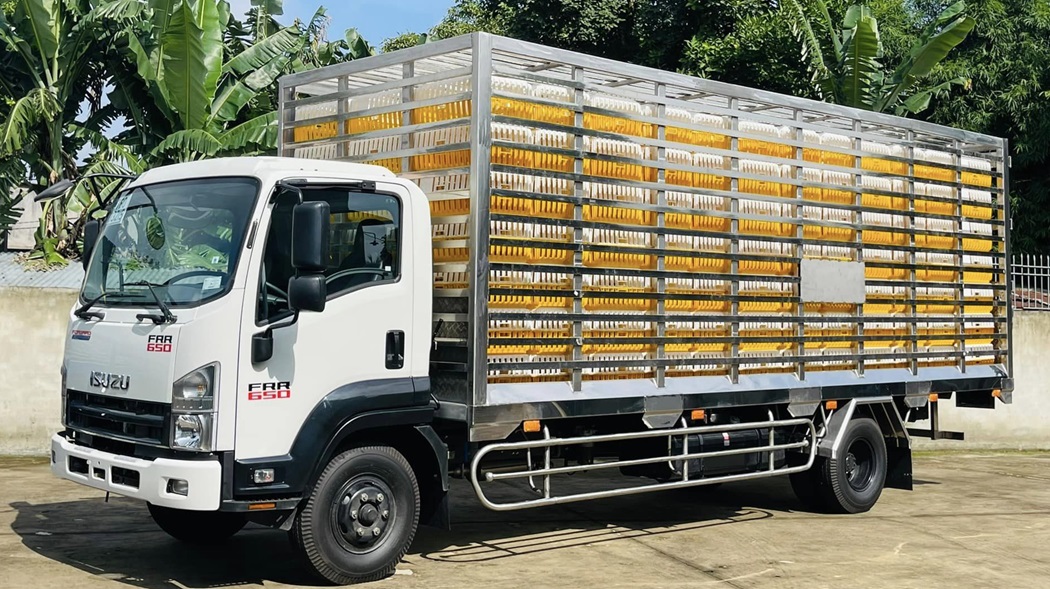Xe Chở Gia Cầm ISUZU 6 Tấn FRR-650 - Thùng Dài 6M7