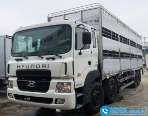 Xe Chở Gia Súc Hyundai HD320 - Tải 16 Tấn