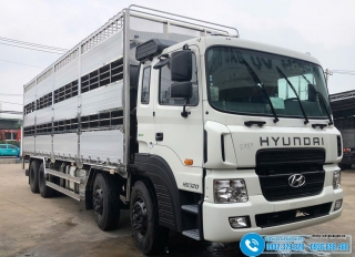 Xe tải Hyundai HD320 Thùng Chở Gia Súc - Tải 17000 KG